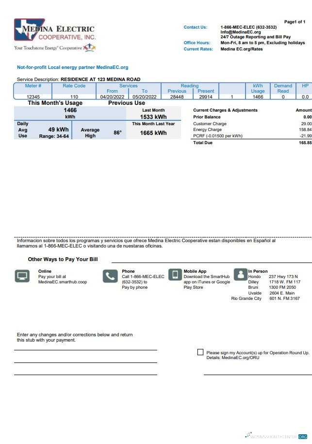 download download USA Texas Medina Electric utility bill template in Word and PDF format PDF template PDF template